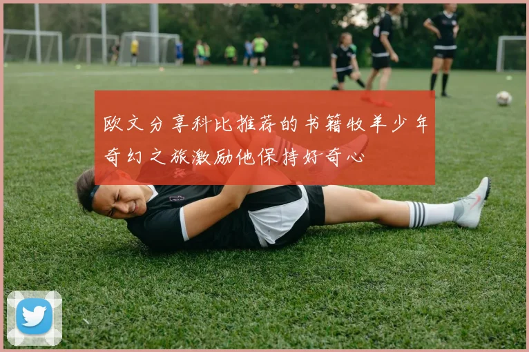 欧文分享科比推荐的书籍牧羊少年奇幻之旅激励他保持好奇心